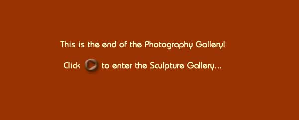 This is the end of the Photography Gallery!